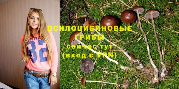 мет Билибино