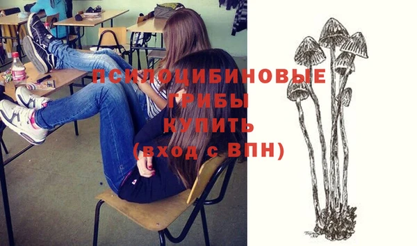 мет Билибино