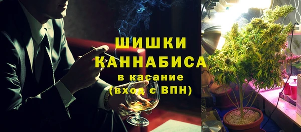 скорость Бикин