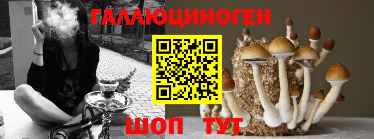 Галлюциногенные грибы Magic Shrooms  Вход с VPN  Галлюциногенные грибы MAGIC MUSHROOMS  Карпинск 
